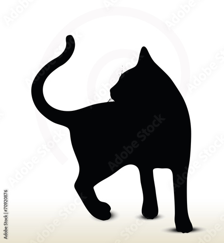 cat silhouette