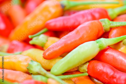 closeup of  colorful fresh  peppers group