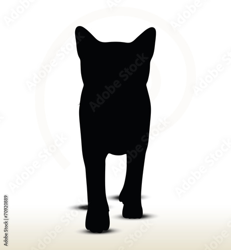 illustration of cat silhouette