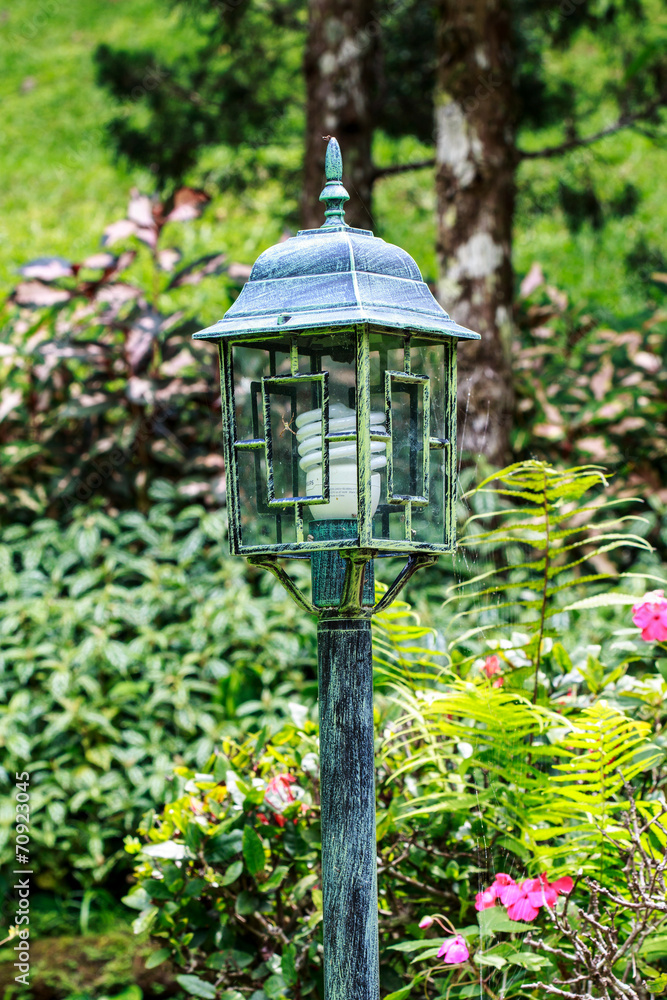 Lamp in garden