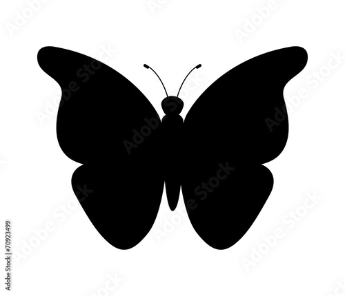 butterfly design