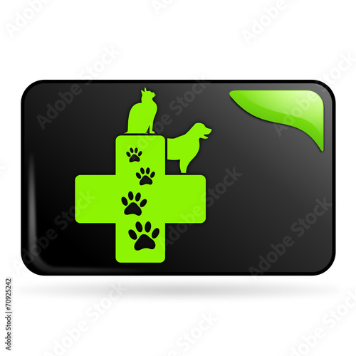 vétérinaire sur bouton web rectangle vert
