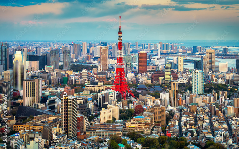 Fototapeta premium Tokyo city view visible on the horizon