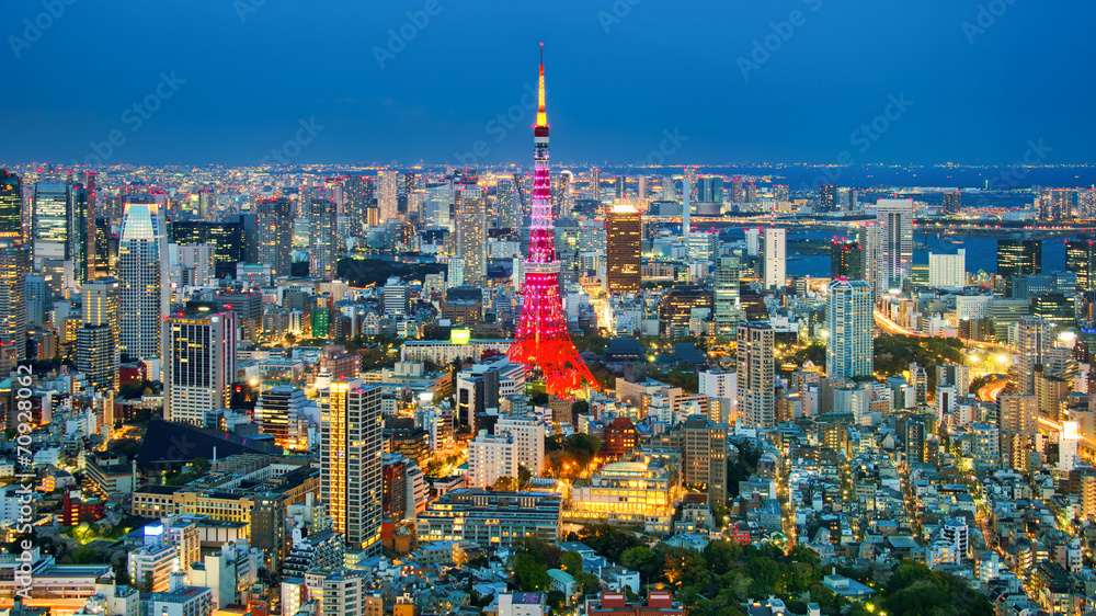 Obraz premium Tokyo city view visible on the horizon