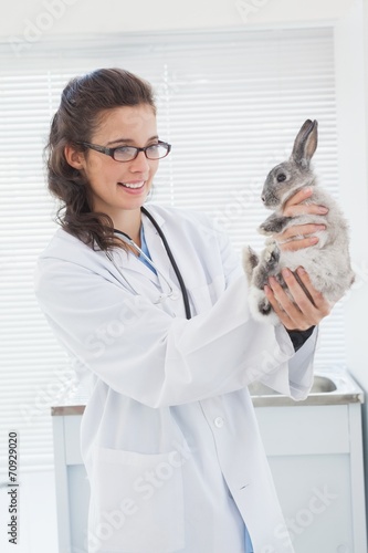 Fototapeta Naklejka Na Ścianę i Meble -  Happy vet petting a cut bunny
