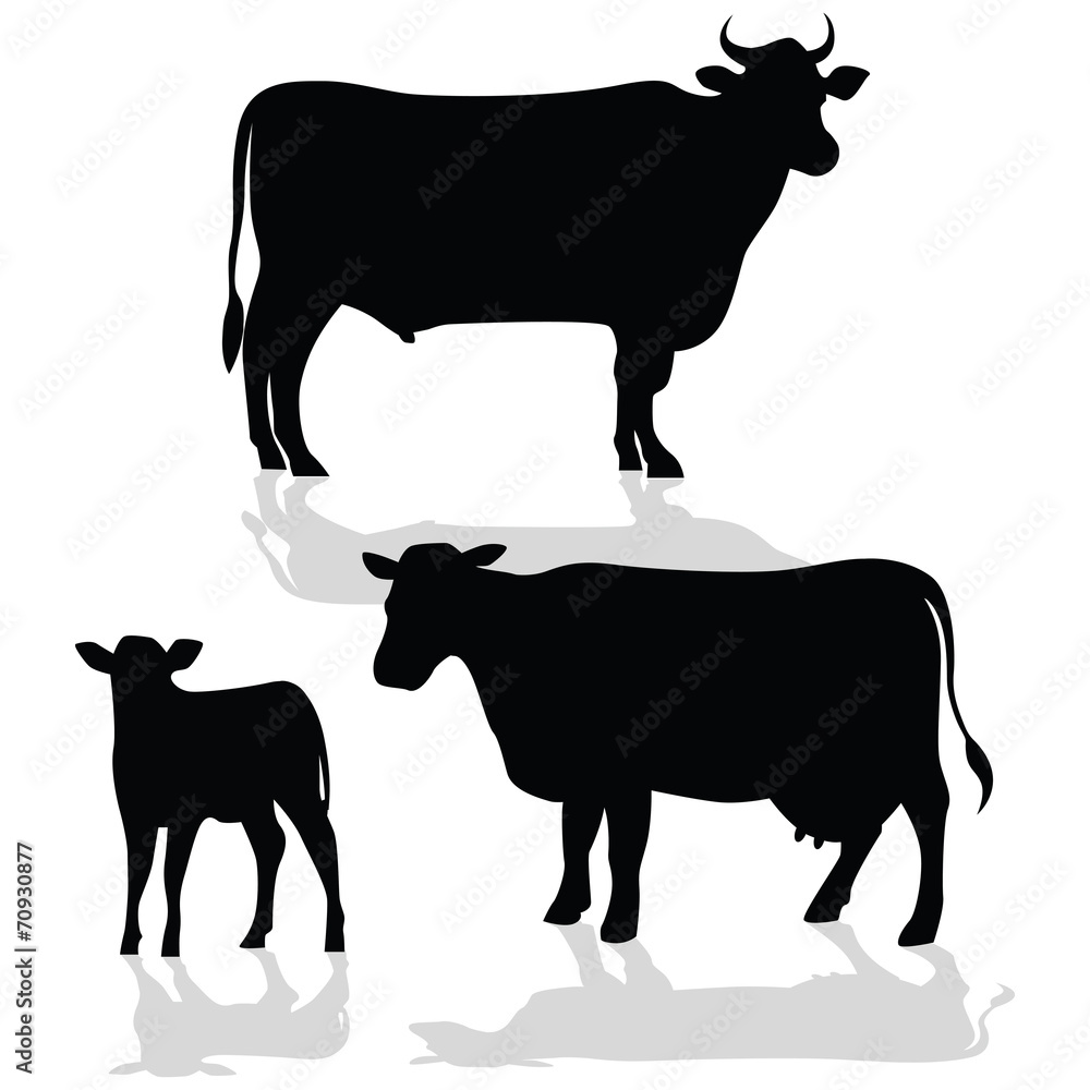 Fototapeta premium Cow Family Silhouette with Shadow