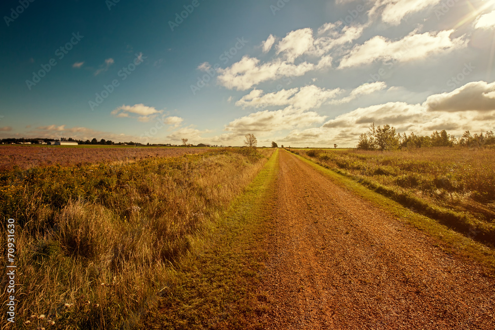 Rural Trail