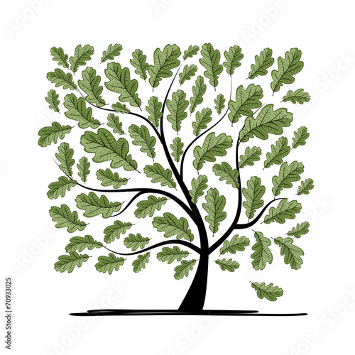 Oak tree for your design