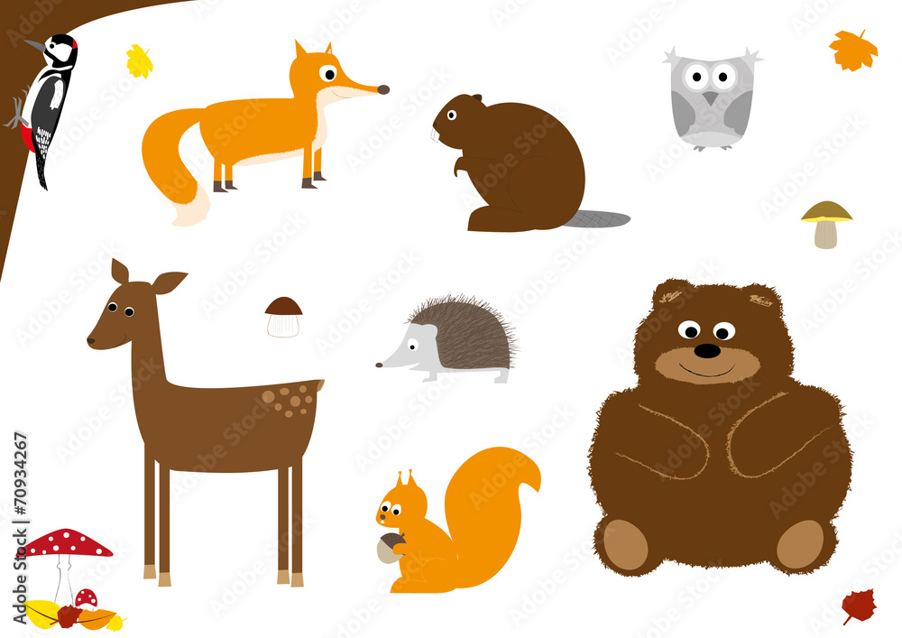 Fototapeta premium zwierzęta leśne - wektory