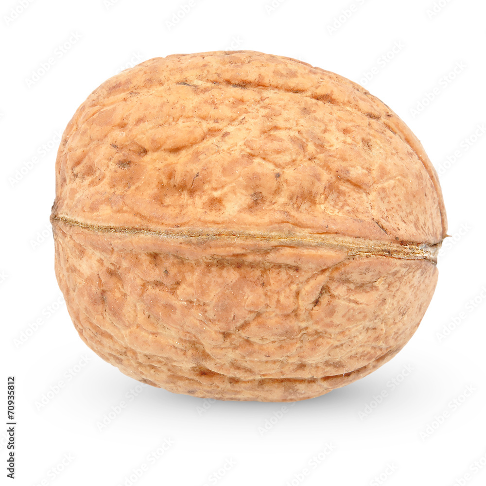 walnut walnut