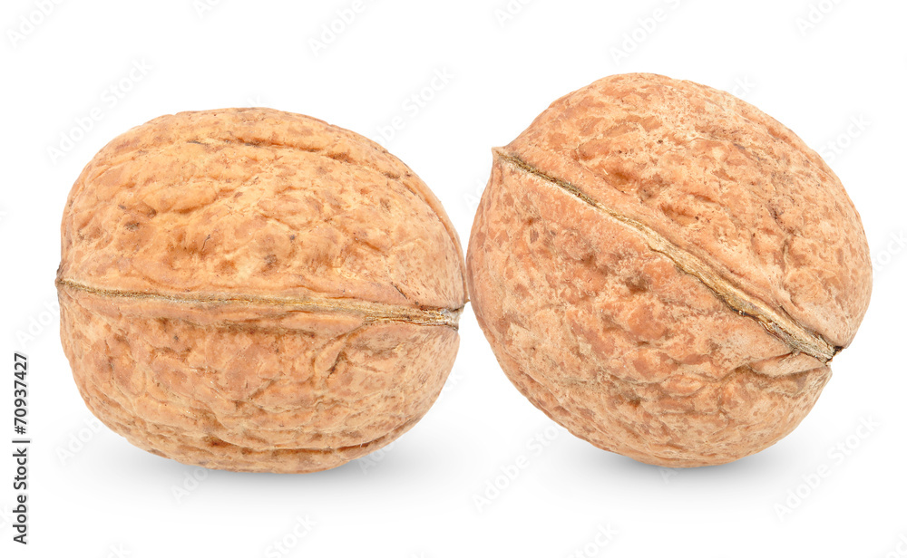 walnuts walnuts