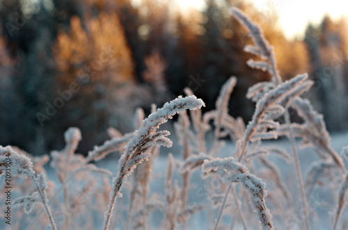 Winter scene © Fanfo