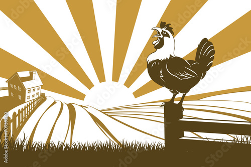 Farm and rooster
