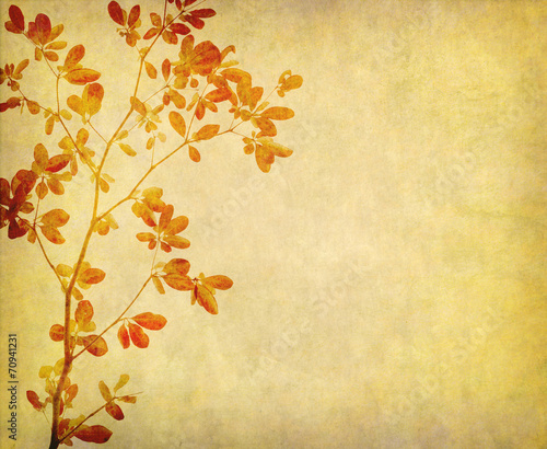 leaves tree with old grunge antique paper texture