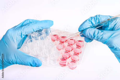 Labware dishes for biochemical experiment.