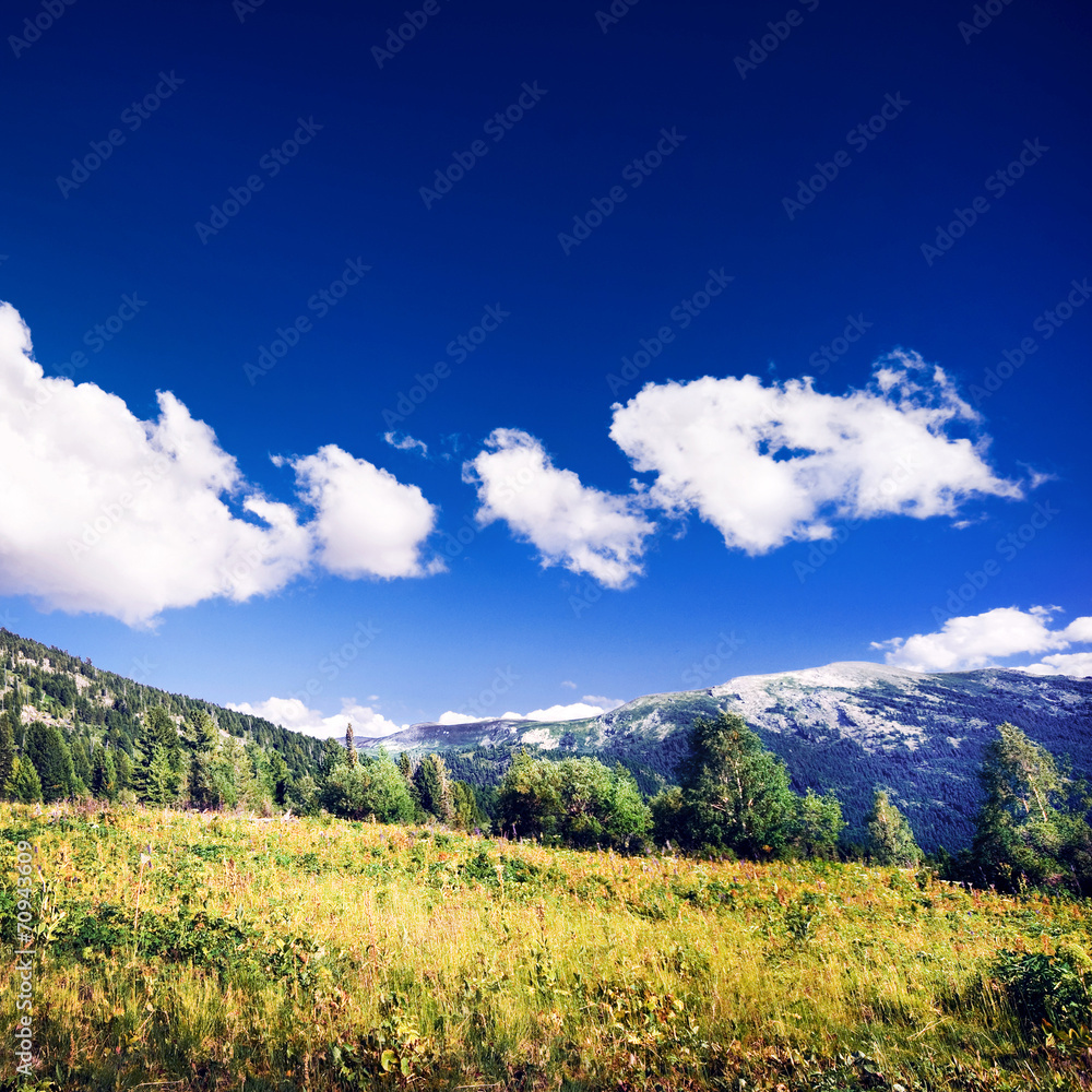 Beautiful mountain landscape. Altai, Russia