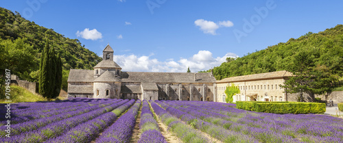 Panoramic view of Senanque Abbey photo