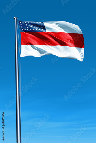 Amazonas (Brazil) flag waving on the wind