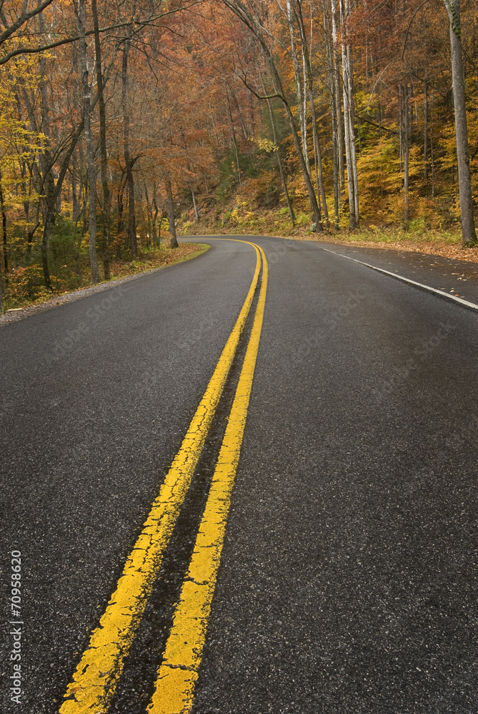 Fototapeta premium Rainy Road in the Smoky Mountains