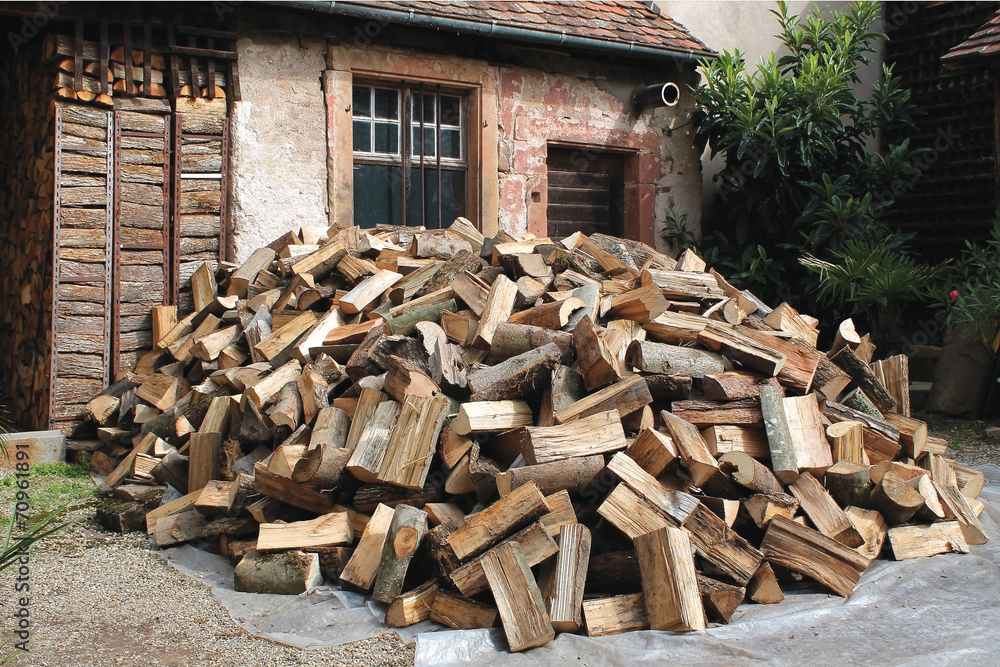 tas de bois coupé_6527