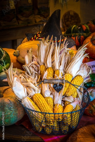 Pumpkin paradise photo