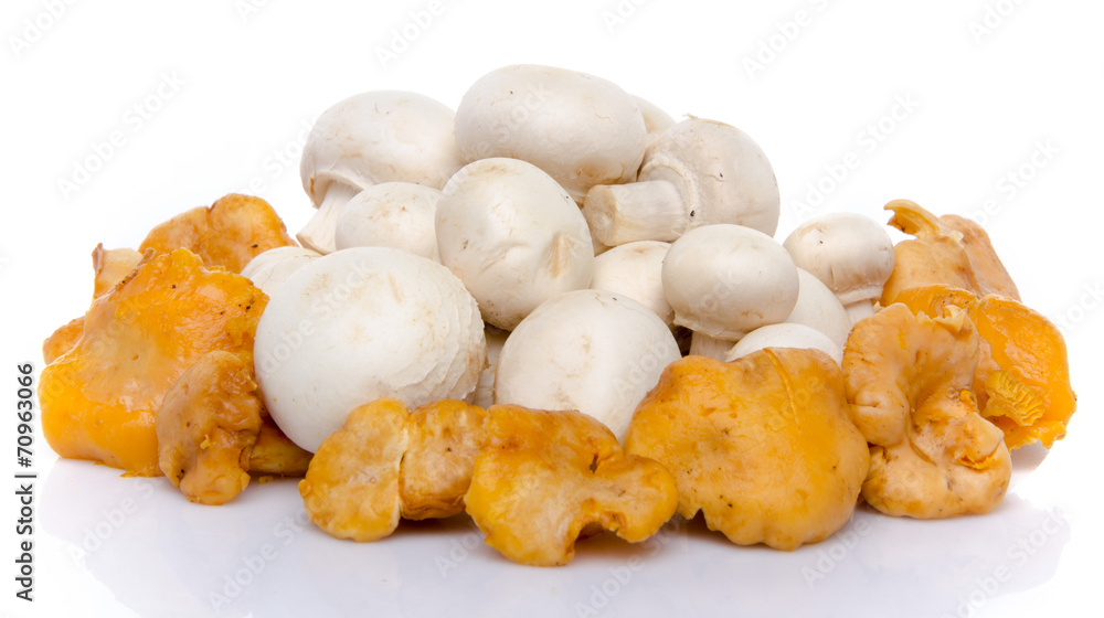 Composition with button and chanterelle mushrooms Composition with button and chanterelle mushrooms