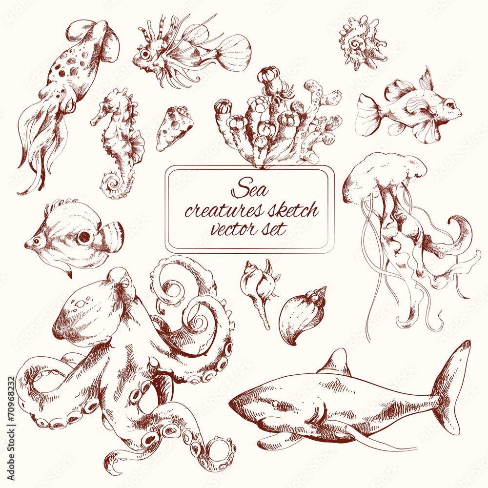 Naklejka premium Sea creatures sketch