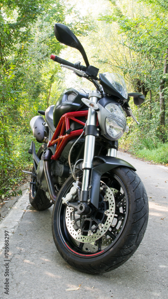 Fototapeta premium monster motorbike