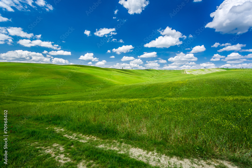 Obraz premium Cracked dirt road between green fields