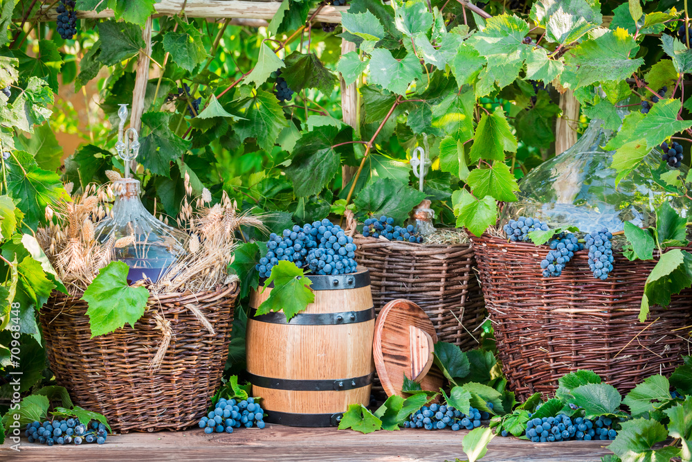 Demijohn in a wicker basket and dark grapes Demijohn in a wicker basket and dark grapes