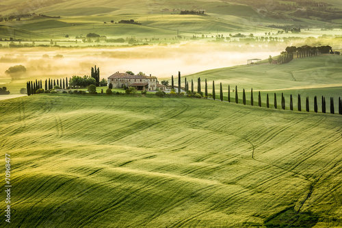 Foggy Valley in the morning...