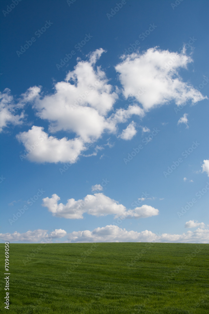 草原と青空