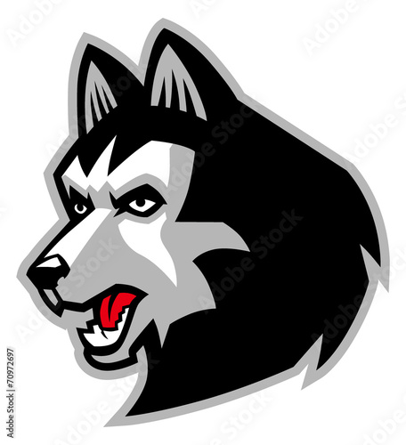 siberian husky dog mascot