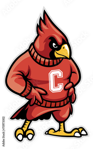 cardinal school mascot