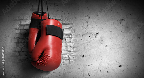 Cuadro en lienzo Boxing gloves