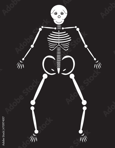 Human Skeleton © aeyaey