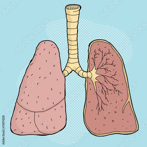 Lungs Cartoon