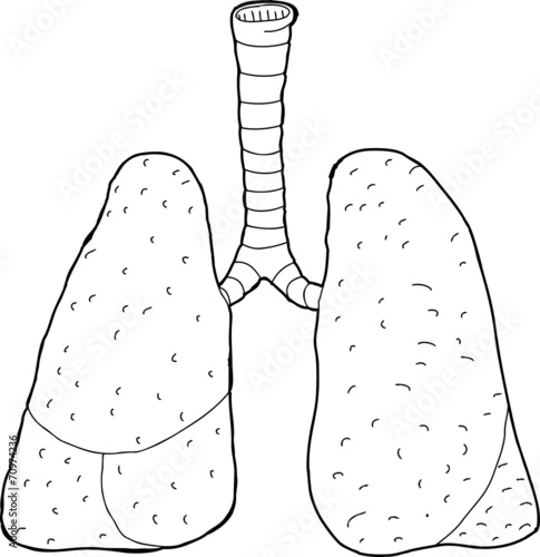 Outlined Lungs