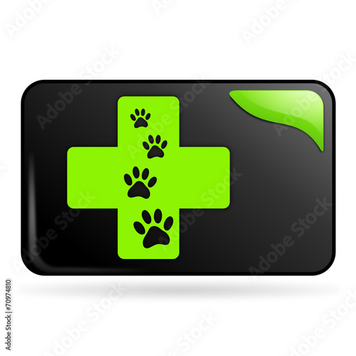 clinique vétérinaire sur bouton web rectangle vert