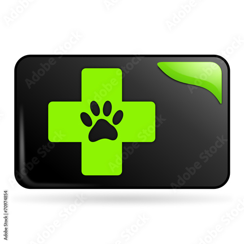 soins vétérinaires sur bouton web rectangle vert
