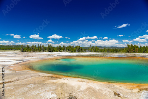 Yellowstone National Park © gert hochmuth