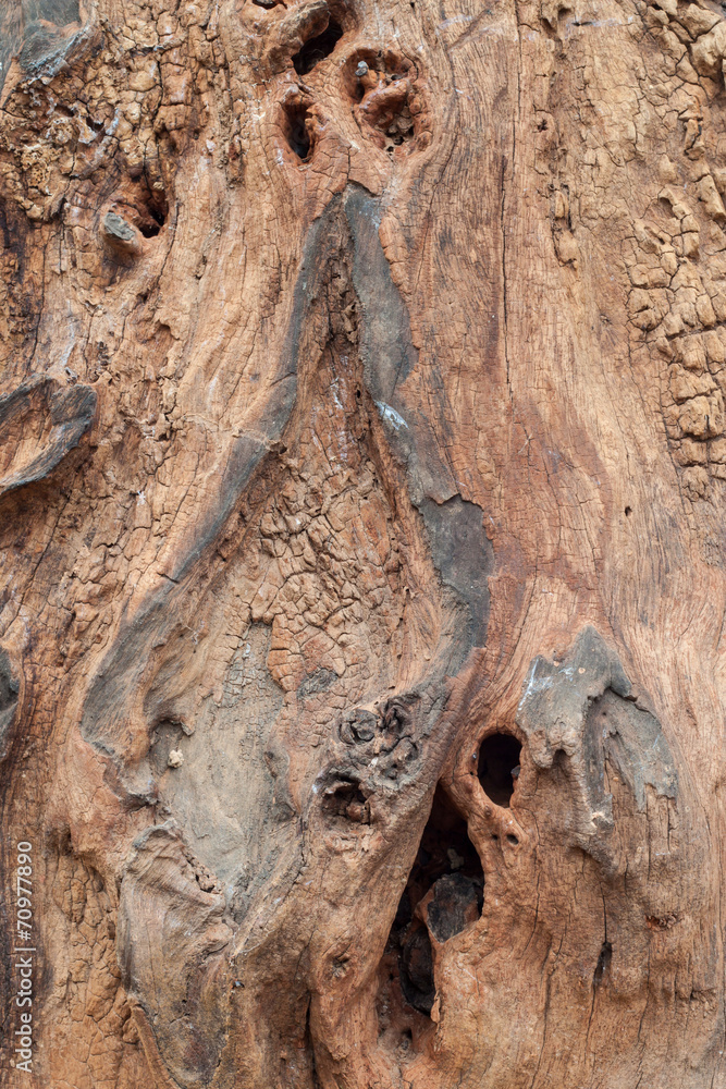 Obraz premium old wooden texture