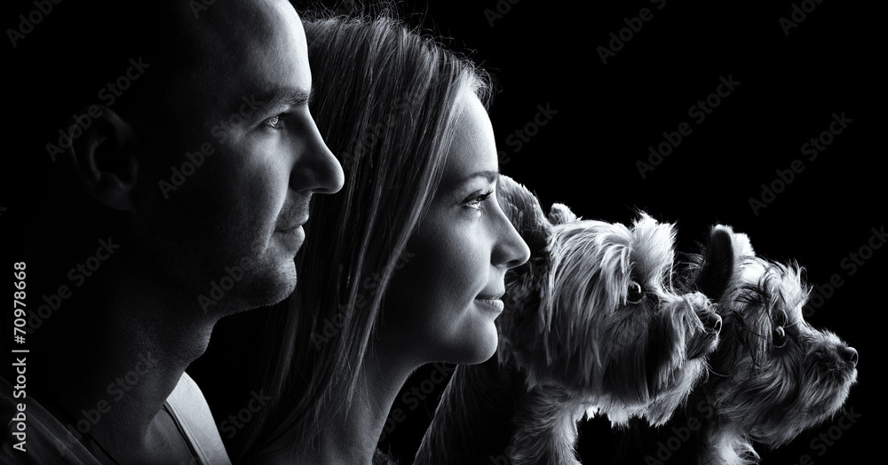 Are Yorkshire Terriers Loving