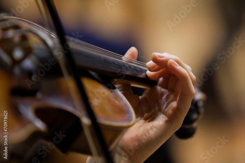 Girl's hand on the strings of a violin photo