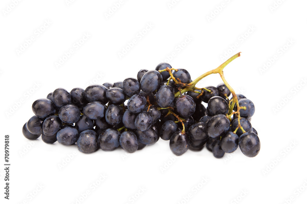 Black grapes close up.