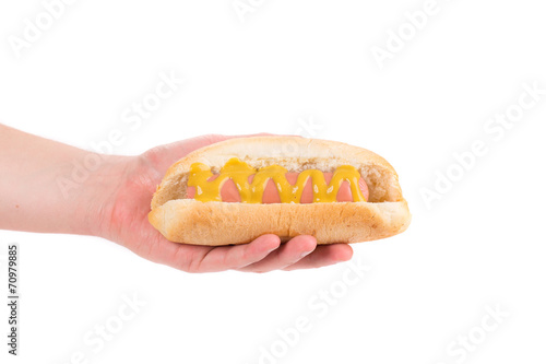 Hand holding tasty hot dog.