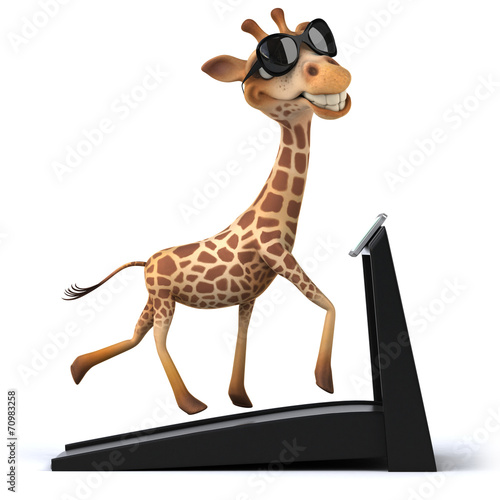 Fun giraffe