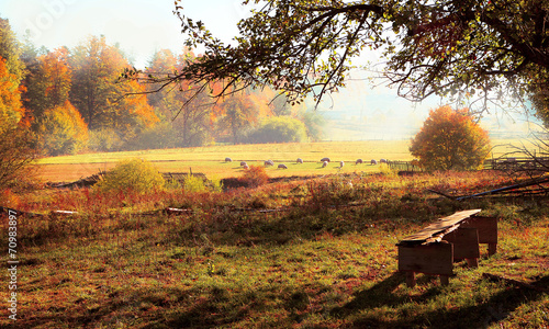 A place to rest on a morning walk