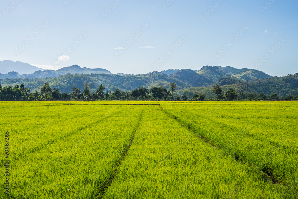 Toraja landscape
