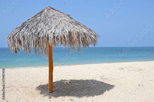 thatched beach